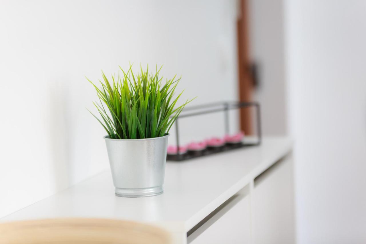 Green Corner *** Apartment Rijeka Bagian luar foto